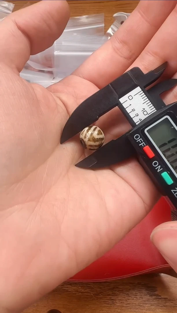 【闪购商品】硅化木颈饰未镶嵌【肖钟出品】