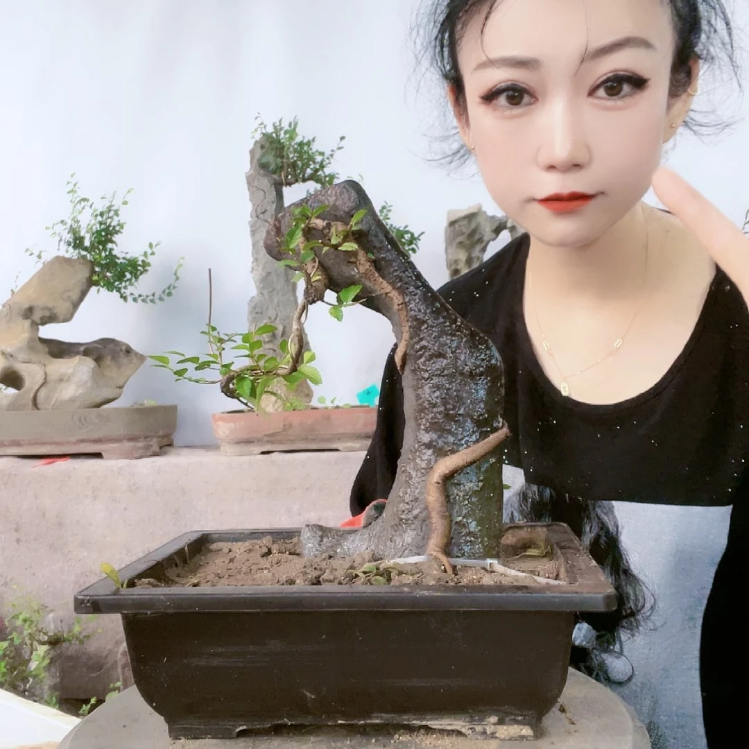 直播频道直播时间