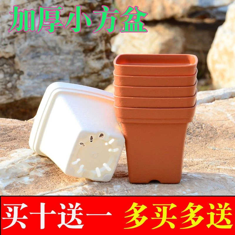 塑料加厚小方盆多肉花盆创意园艺绿植物小盆栽简易小黑方托5个装