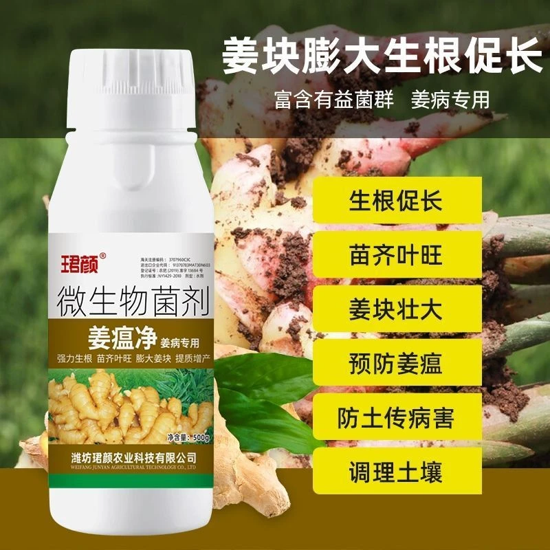 姜瘟净正品大包装姜瘟特效药生姜杀菌大姜烂脖子病茎基腐病