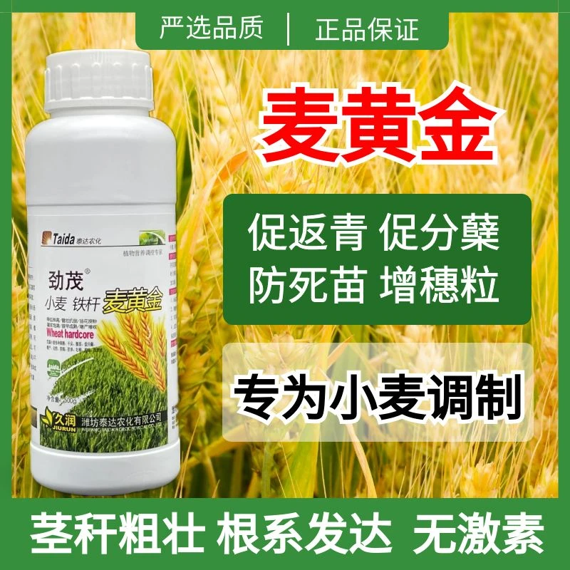 麦黄金小麦早熟饱满促分蘖小麦喷施农肥促返青灌浆严选小麦水溶肥