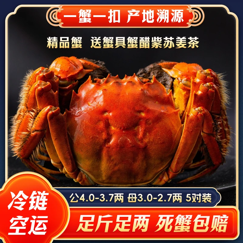 【江苏活蟹】大闸蟹现货公4.0-3.7两母3.0-2.7两 10只鲜活螃蟹礼盒
