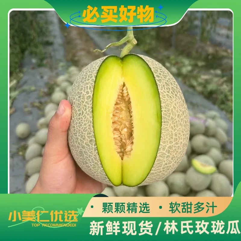 （小美仁优选）玫珑瓜，2 粒规格.单果 2-2.2 斤左右