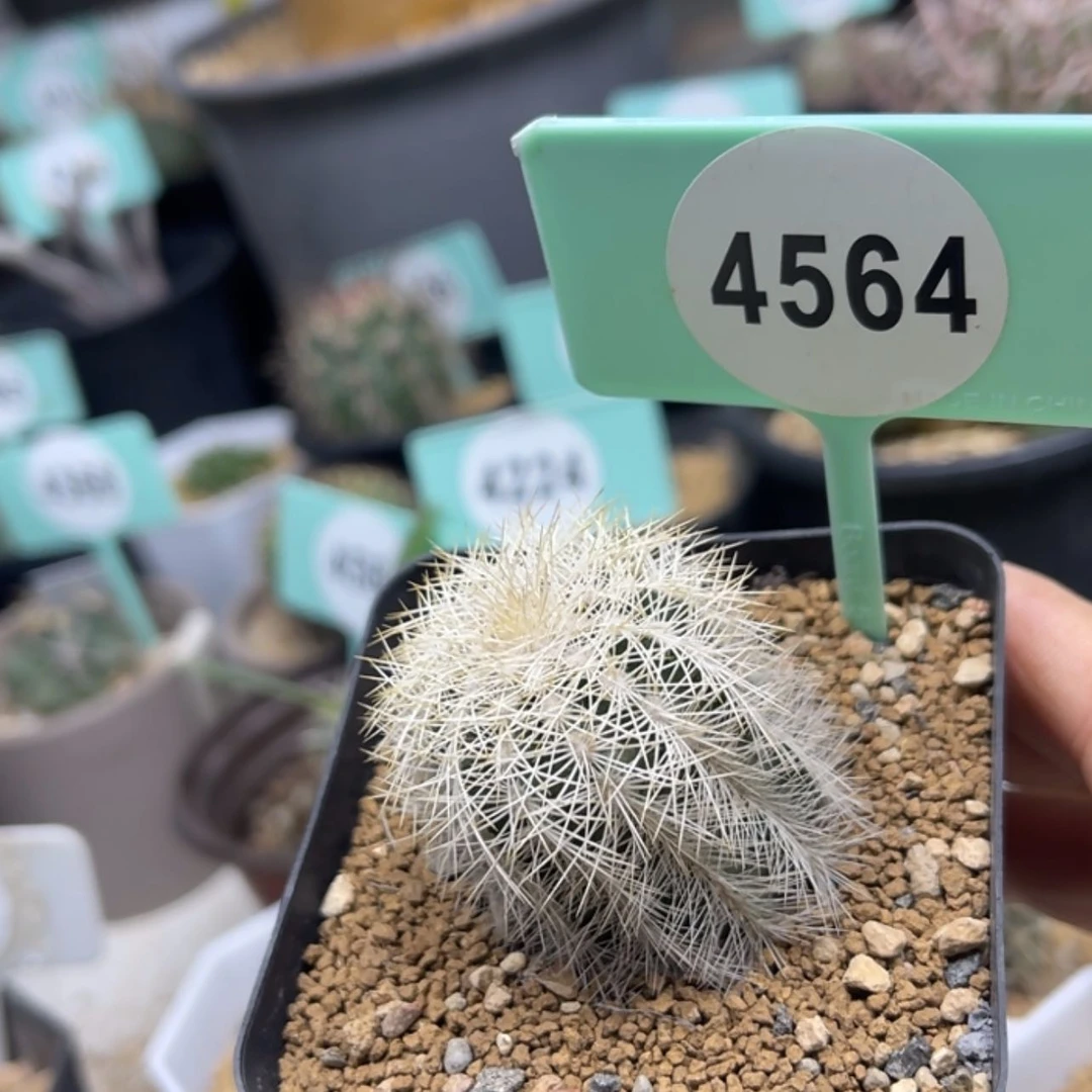 【闪购商品】45644564