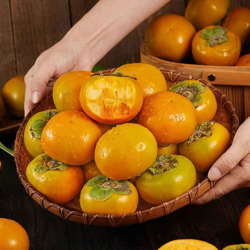 巧克力脆柿子4.5斤新鲜水果当季冰糖心脆甜阳丰硬柿子整箱特产