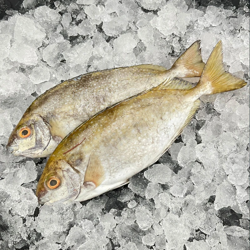 神泉本港 泥猛鱼柠檬鱼 包洗杀1包3-4条400g装