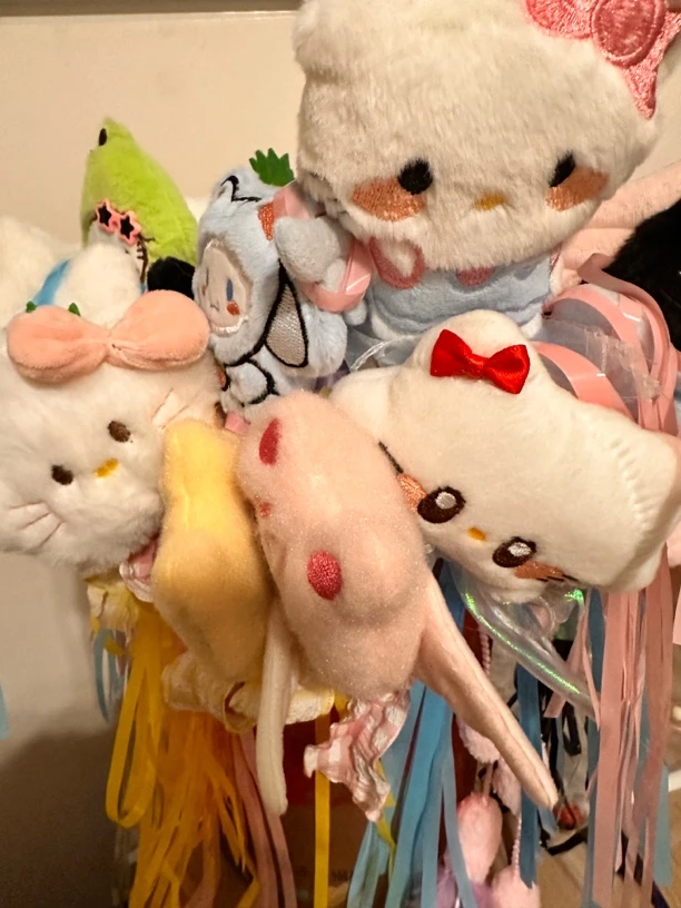 【直播专用】猫咪玩具套组