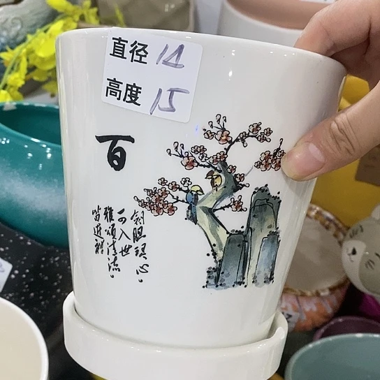 红陶20CM（含）-50CM（不含）
