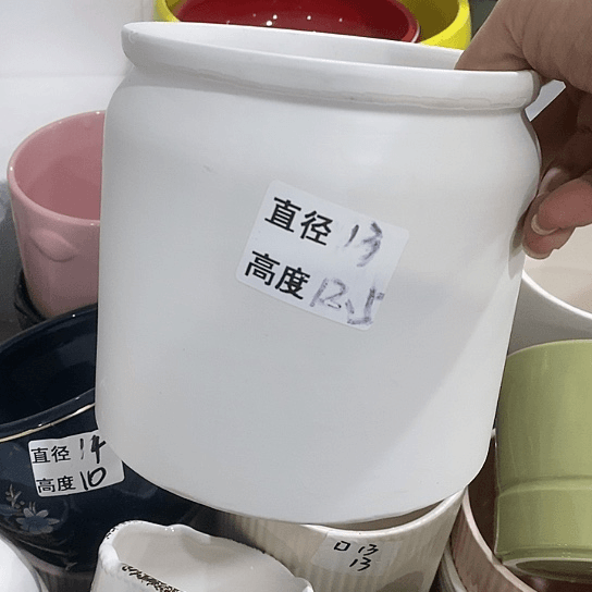 红陶20CM（含）-50CM（不含）