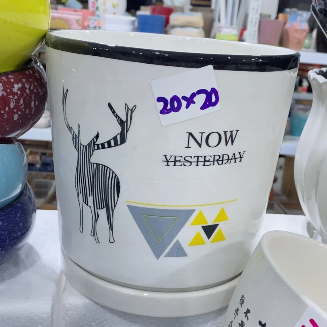 红陶20CM（含）-50CM（不含）