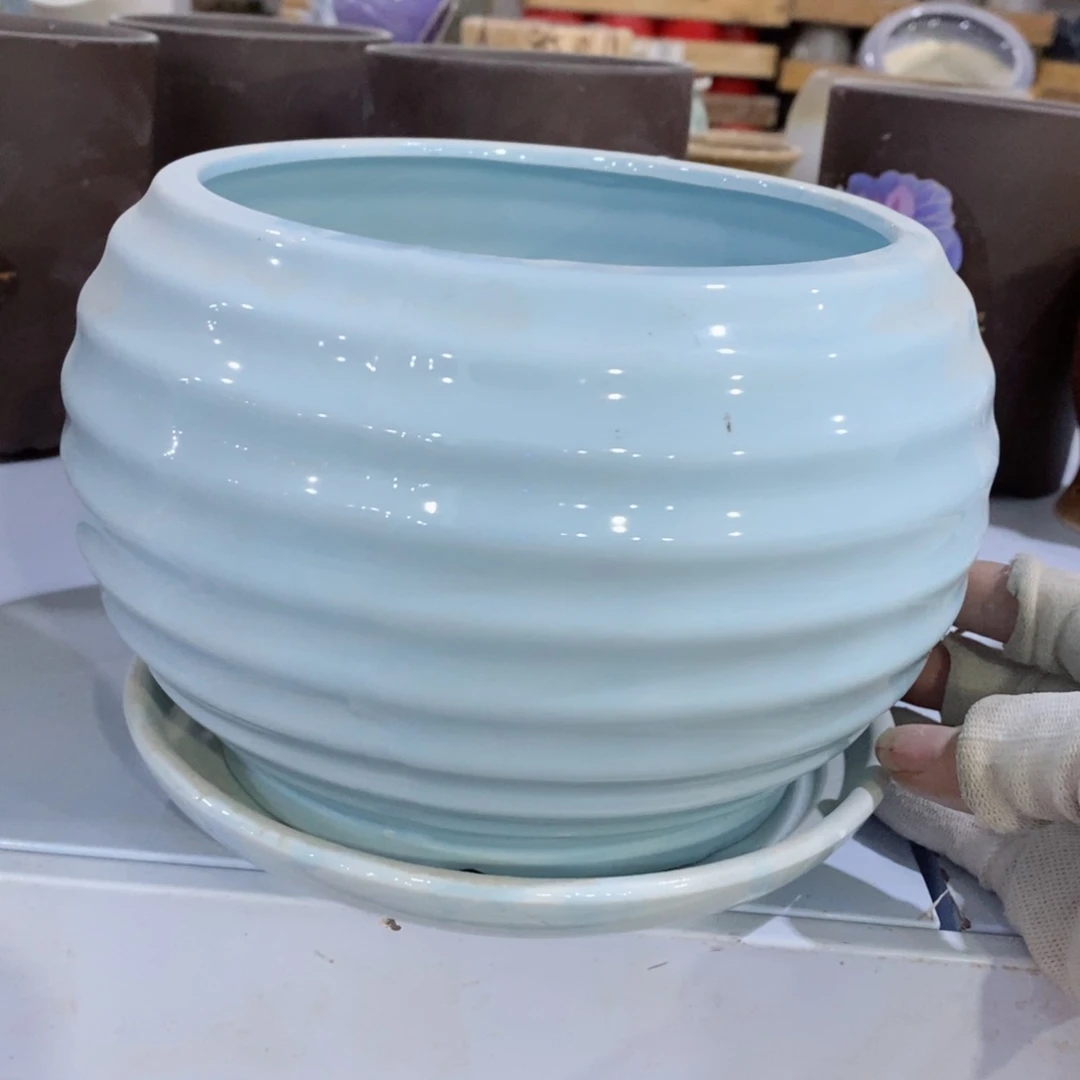 红陶20CM(含)-50CM(不含)