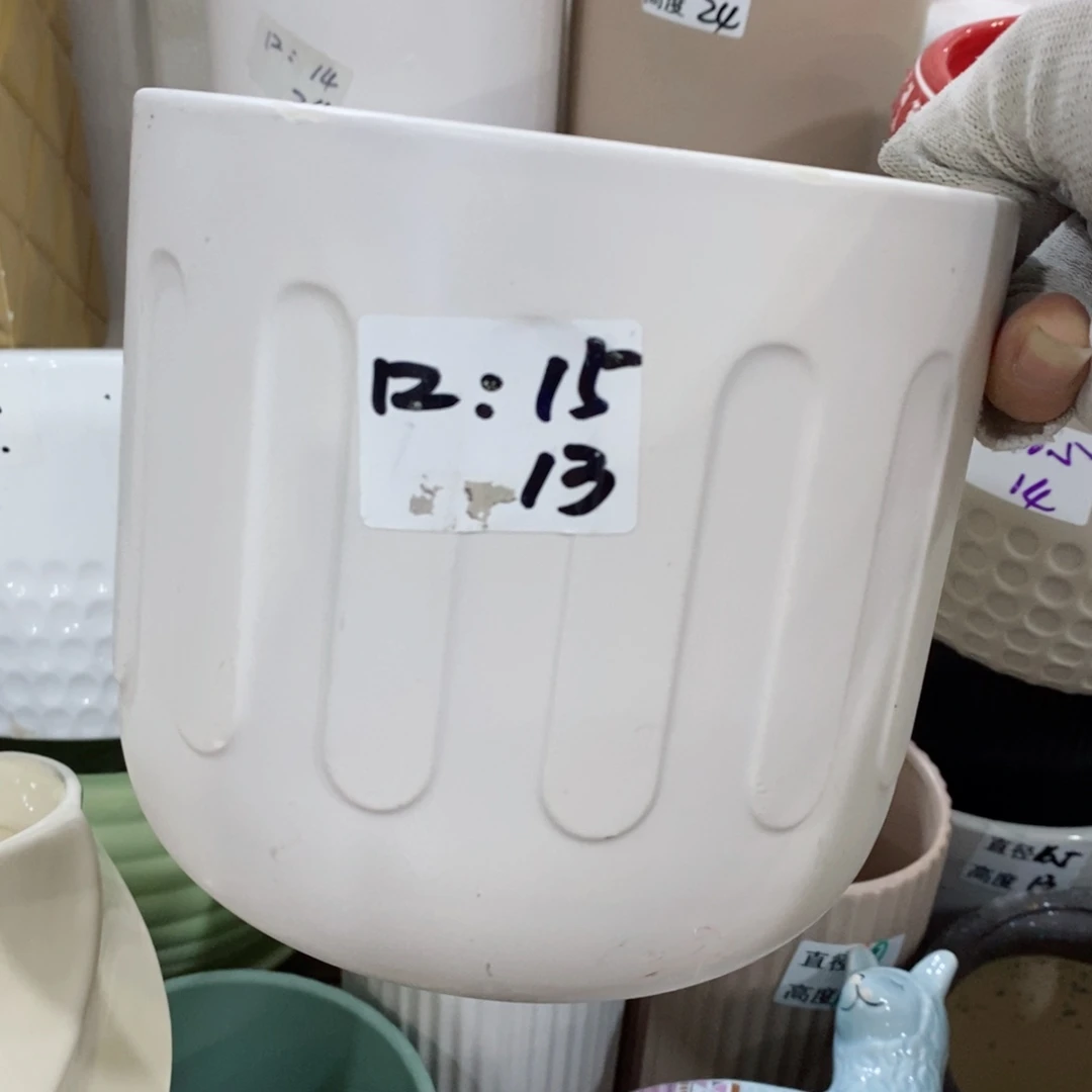红陶20CM（含）-50CM（不含）