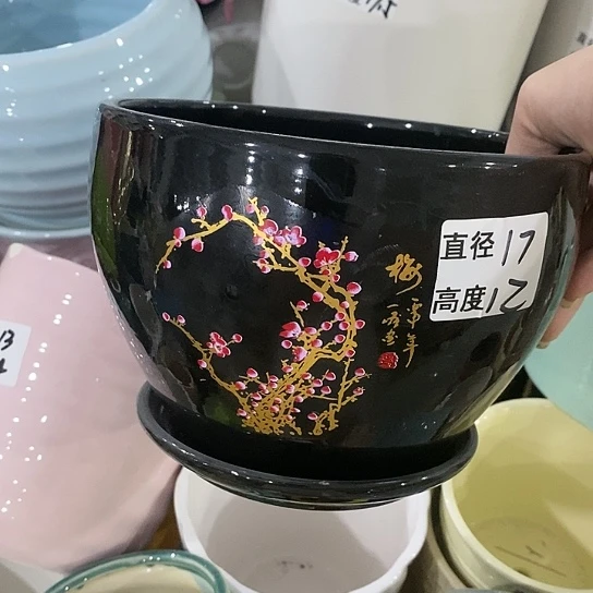 红陶20CM（含）-50CM（不含）