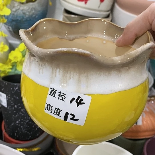 红陶20CM（含）-50CM（不含）