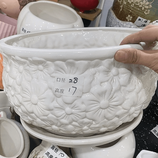 红陶20CM(含)-50CM(不含)