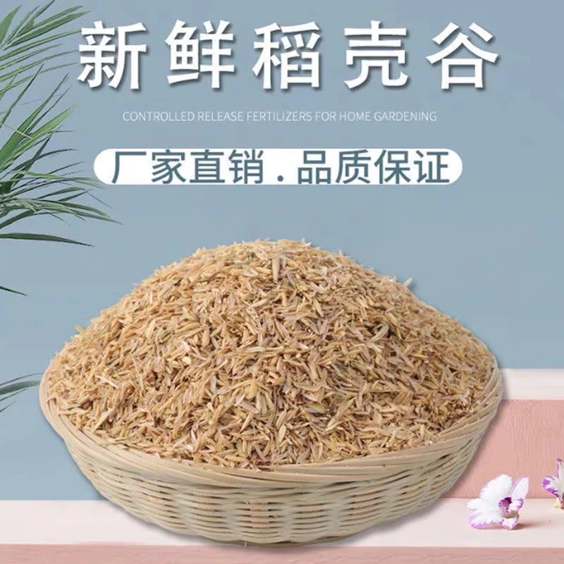 农家优质稻壳干净无杂质用于铁线莲多肉调节土壤酸碱性防虫防菌
