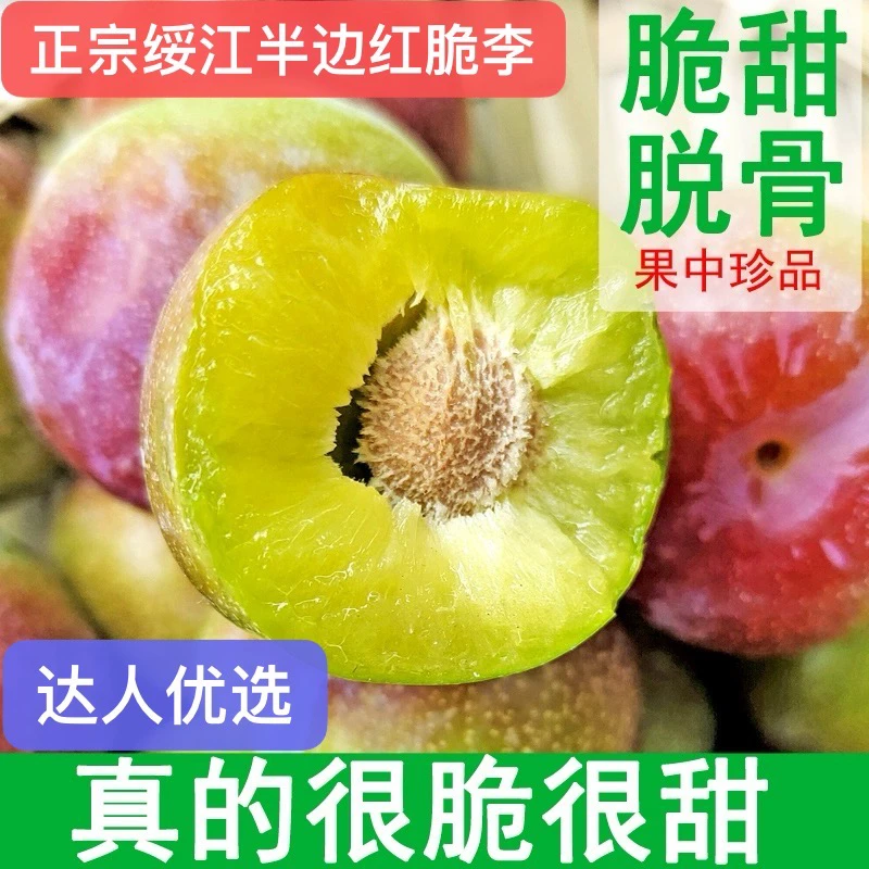 （达人优选专属）3云南绥江新鲜半边红茵红李脆红李脱骨李5斤装包邮