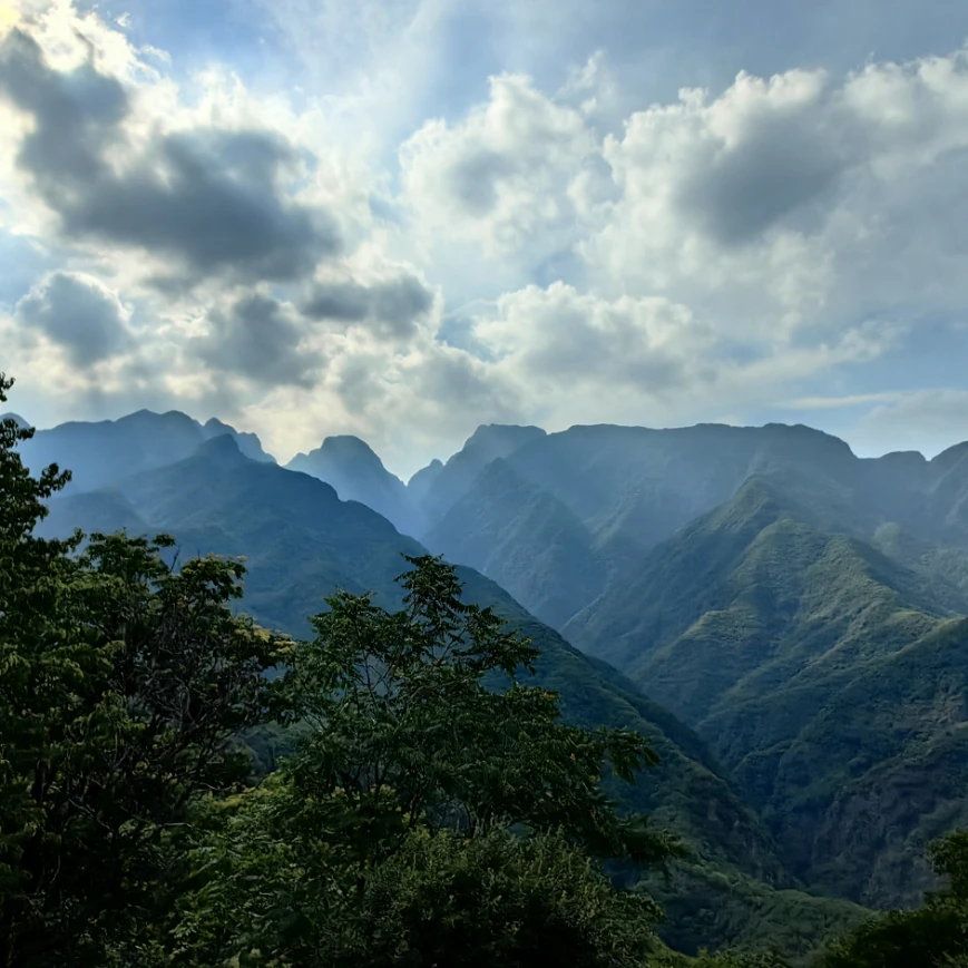 生态周-野外安全六要素