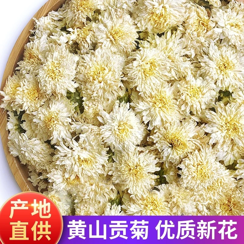 白菊花茶菊花茶农产品花茶另售杭白菊胎组合头茬饱满搭配金银花
