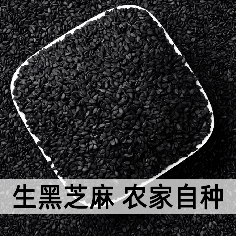 生黑芝麻农家自产新鲜芝麻干净芝麻糊熟芝麻榨油另售决茄果