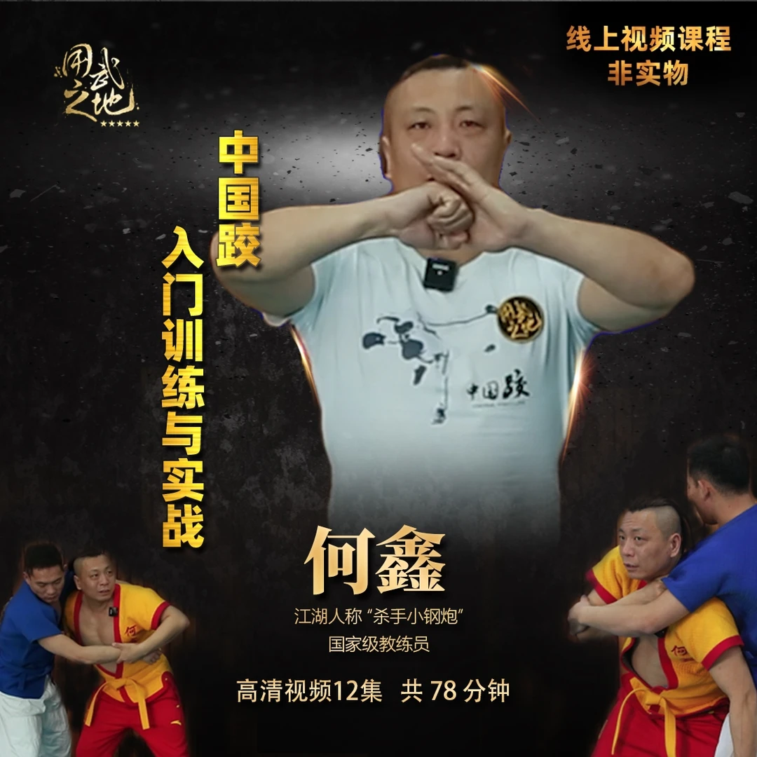 中国跤入门训练与实战(线上视频非实物,买后勿填地址,点跳过)何鑫