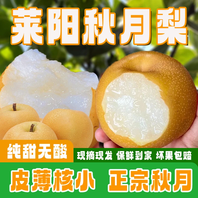 【爆甜】山东正宗莱阳秋月梨水果新鲜现摘应季脆甜薄皮梨