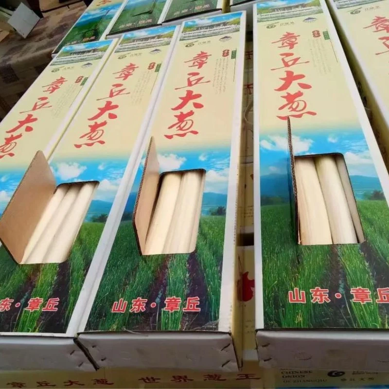 【鹏程甄选】章丘大葱5斤 假一赔十