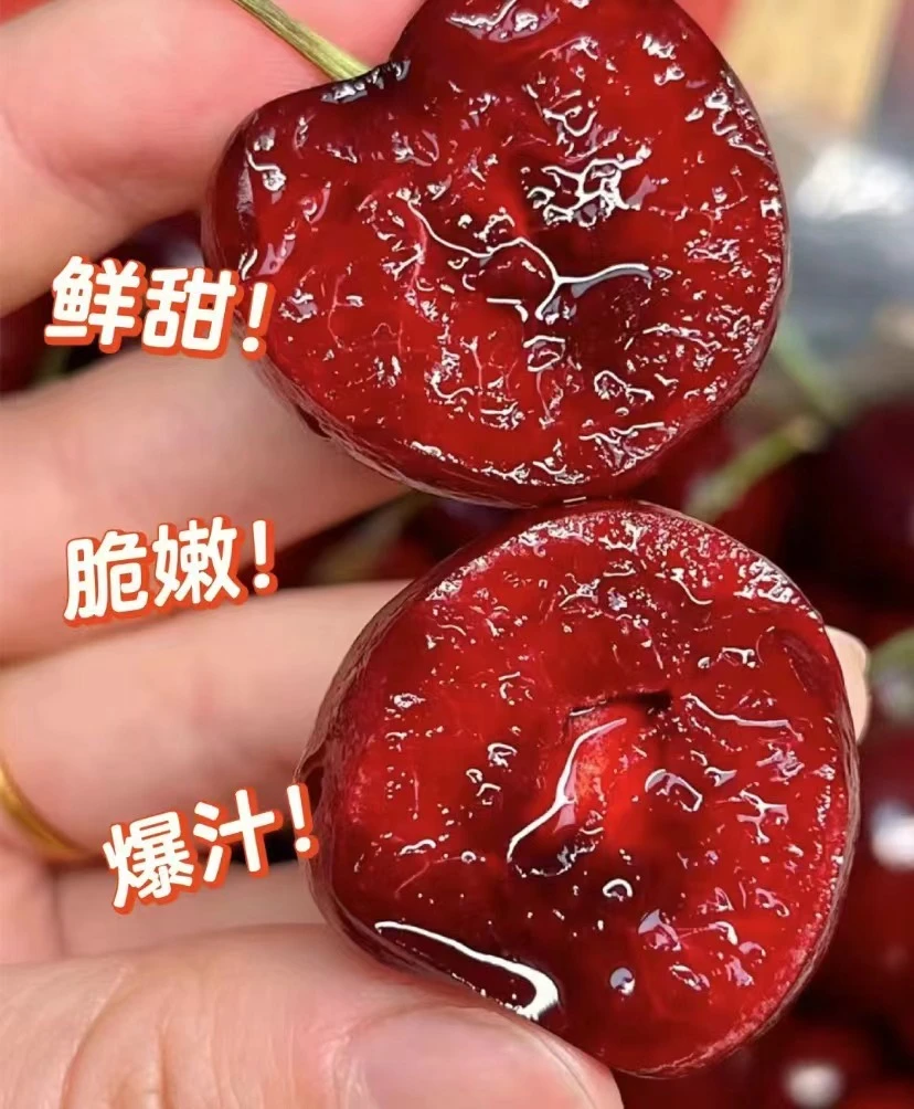 【鹏程甄选】智利 空运车厘子 桑提娜 新鲜爆汁 内附果径卡