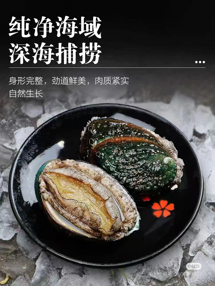 7头鲍鱼 10元一只