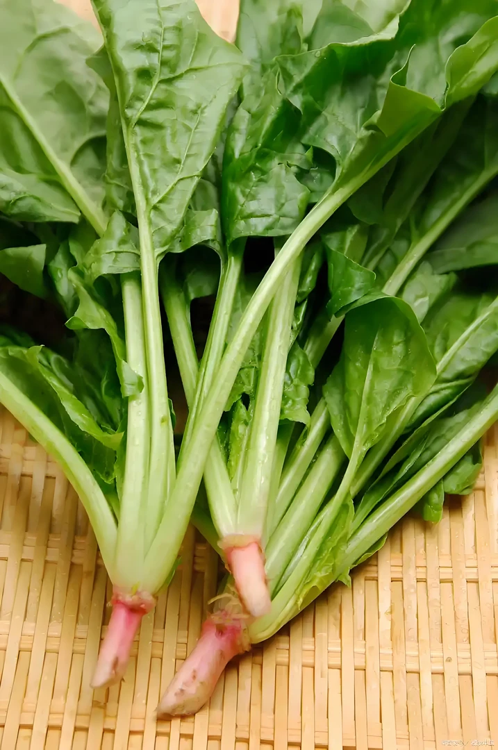 【爱心助农】本地菠菜现摘现发2斤