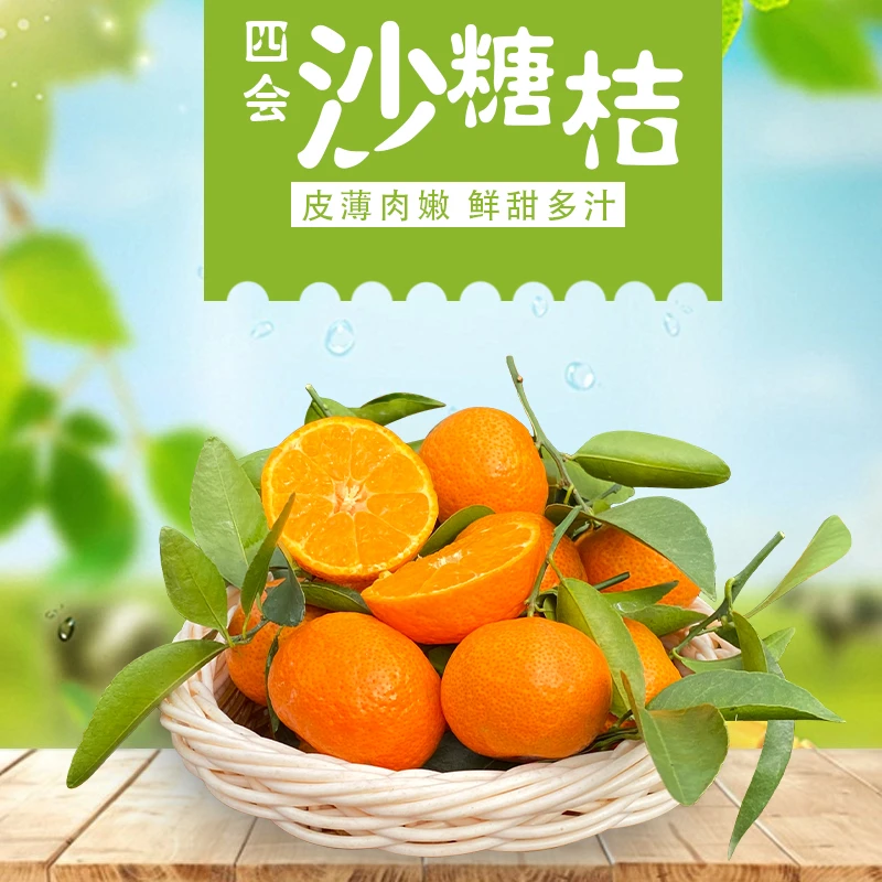 【正宗沙糖桔】砂糖橘子广东四会现摘现发当季新鲜水果礼盒装3斤起