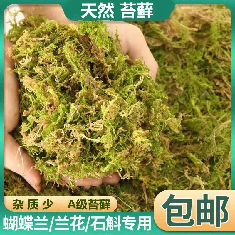 天然纯干苔藓蝴蝶兰花专用土乌龟冬眠运输保湿椰土水苔青苔藓营养
