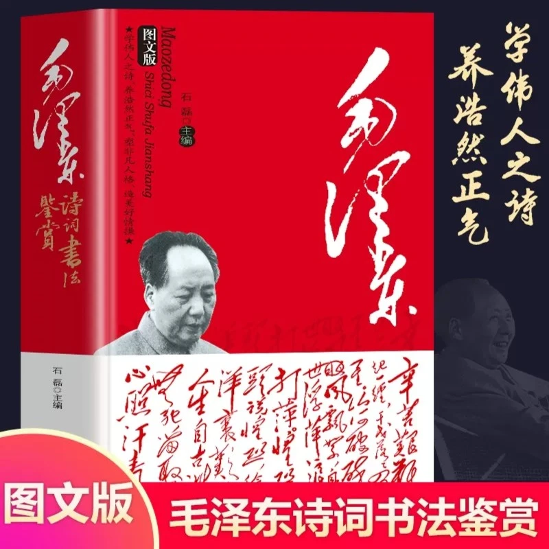 毛泽东诗词书法鉴赏赏析注释手迹书法鉴赏诗歌诗词集语录著作书籍