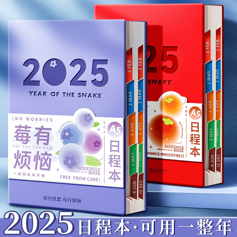 日程本2025年计划表笔记本自律记事本子加厚高颜值工作管理本