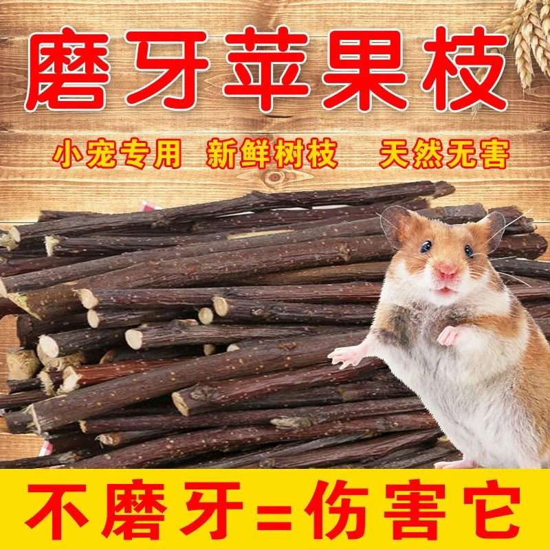 仓鼠磨牙棒苹果枝小宠咬木荷兰猪龙猫豚鼠兔子磨牙用品甜竹特价