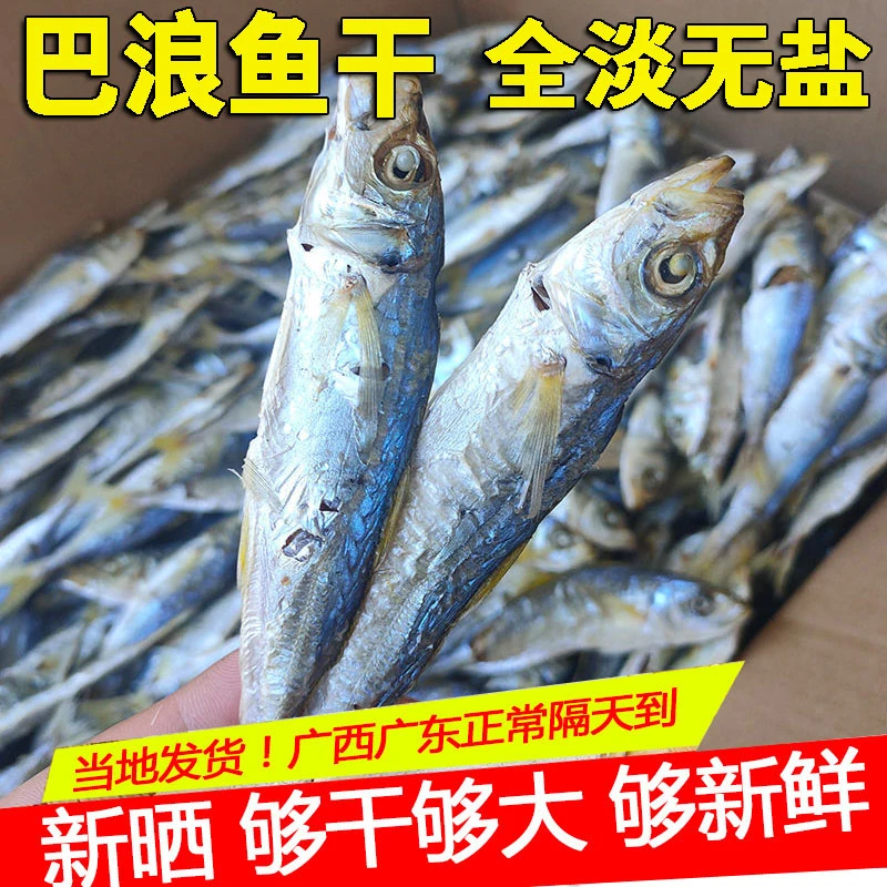 【无盐够干】淡晒巴浪鱼干福建东山岛特产巴浪鱼肉去骨新鲜渔民自晒