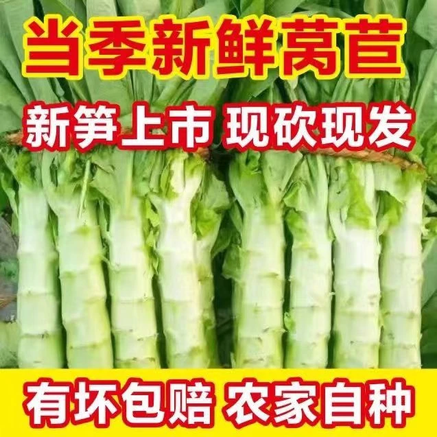 【拍3斤送2斤】山东新鲜莴笋青皮莴苣青笋绿心应季蔬菜农家自种整箱