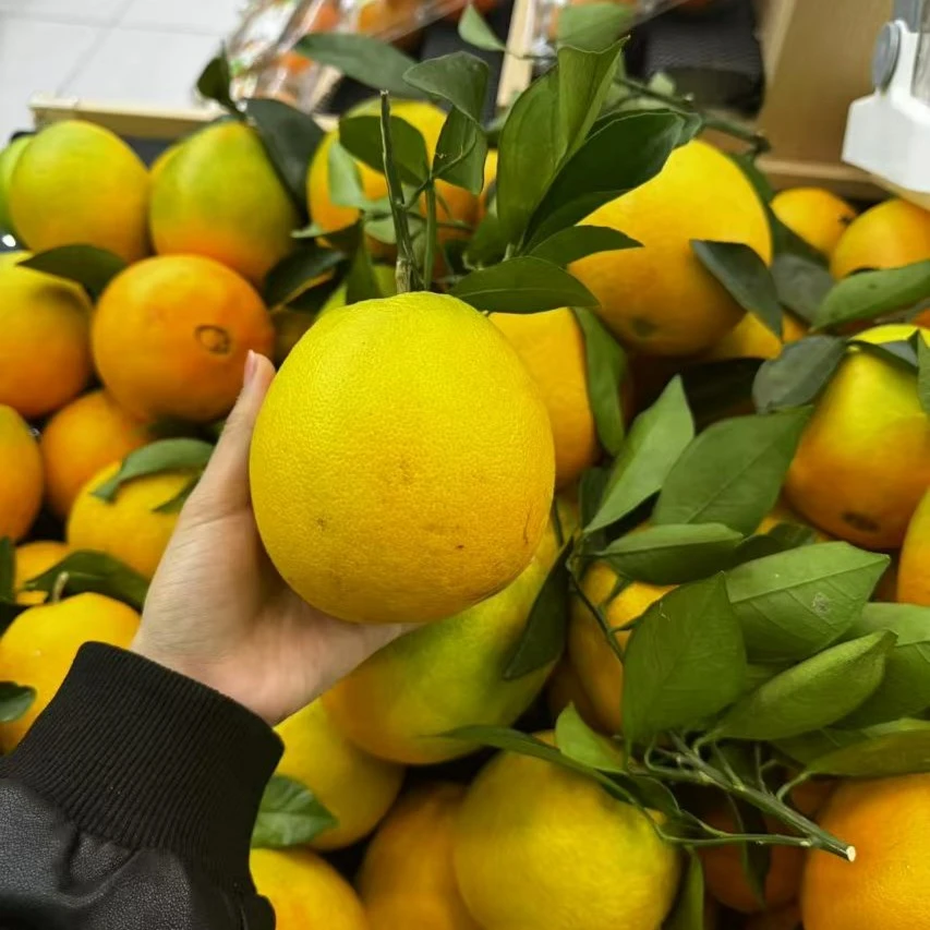 【玉林水果阿姨店小时达】赣南脐橙