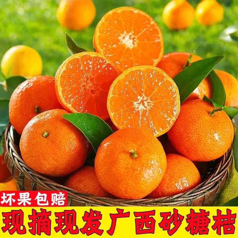 头茬福利 正宗广西砂糖桔 小橘子柑橘新鲜当季水果桔子【纯甜化渣】