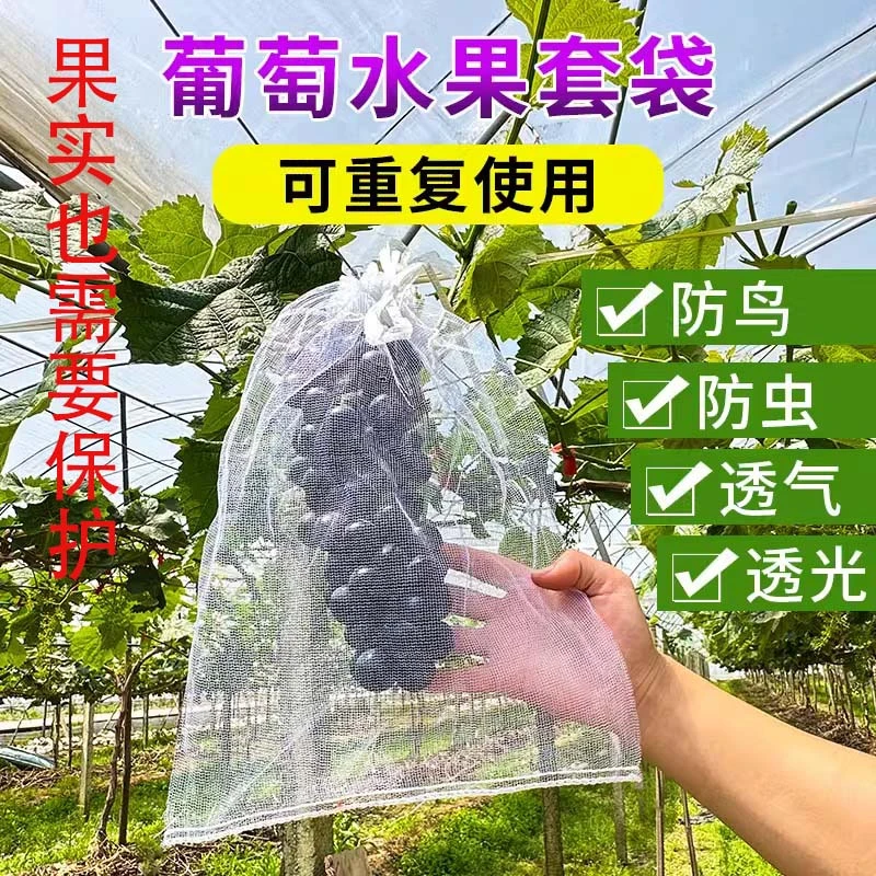 果树防虫网袋防鸟纱网袋保护葡萄袋无花果番石榴草莓套袋透气网套