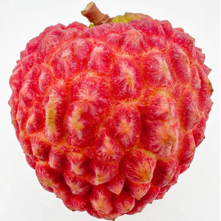 火山岩荔枝王2斤/4斤