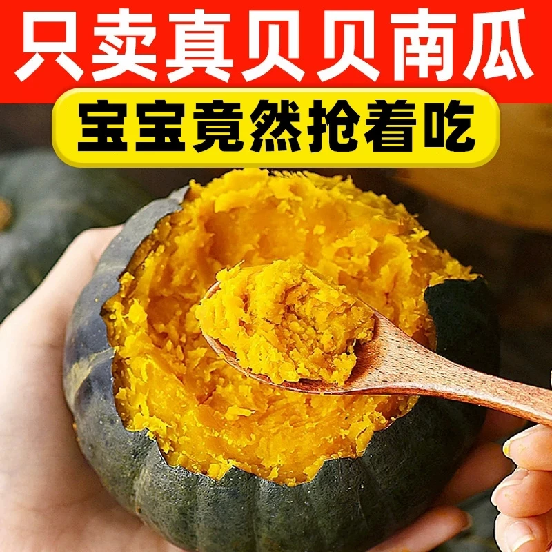 【爆粉真贝贝】正宗超好吃小南瓜软糯香甜板栗味孕宝辅食新鲜蔬菜