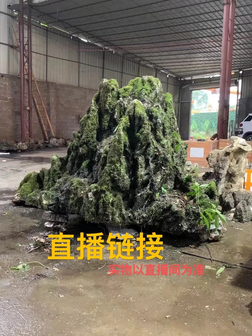 G广西龟纹 山水纹石 鱼缸造型 水旱盆造景