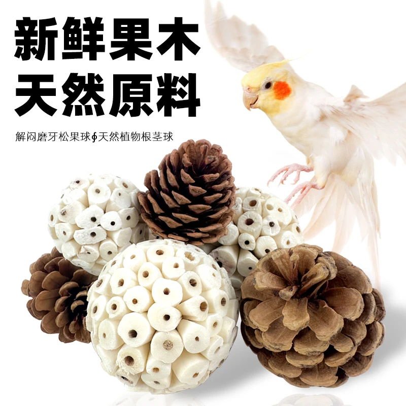 鹦鹉松果球通草球小鸟啃咬玩具解闷自嗨解压虎皮牡丹玄凤磨牙用品