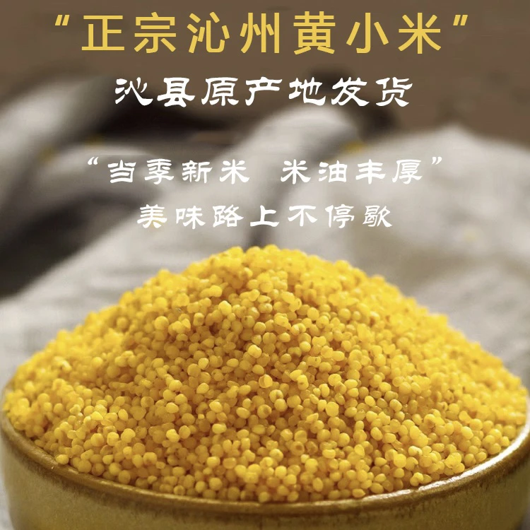 正宗山西沁州黄甄选小米健康品质香甜营养原产地农家小米新米食用
