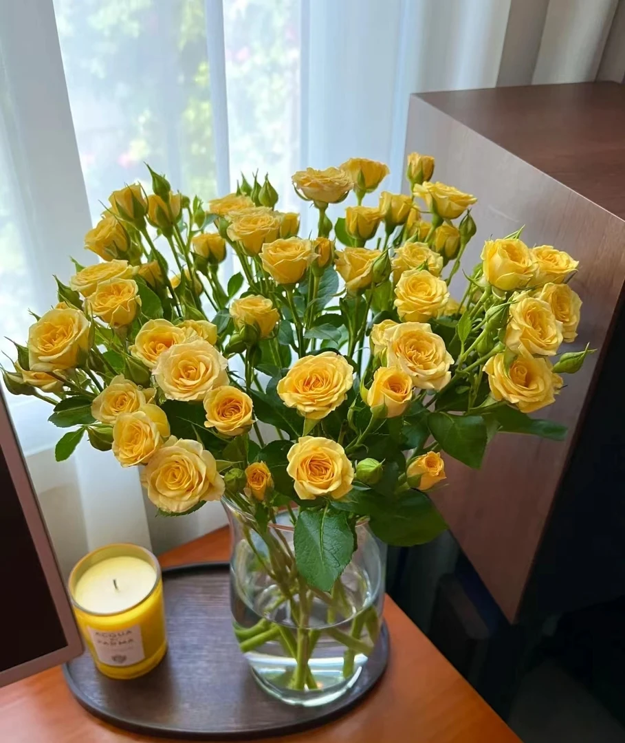 鲜花  多头玫瑰  梦幻芭比8支+2支不售后  两单包邮