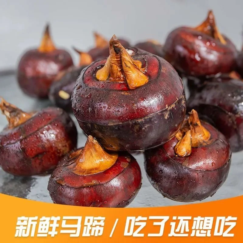 洗马蹄一盒（500克）