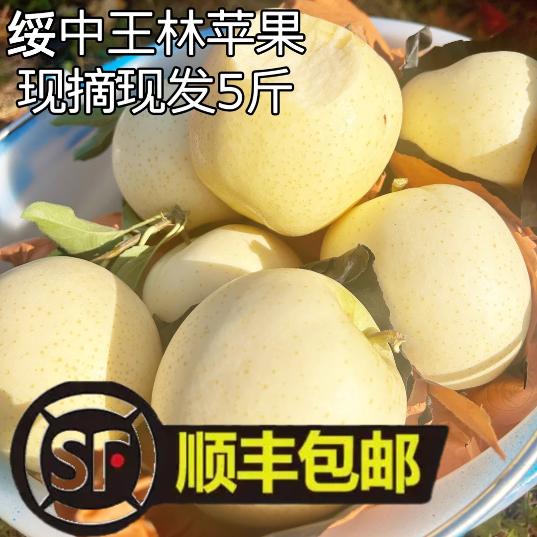 绥中王林苹果，口感甜脆多汁，兰花香味