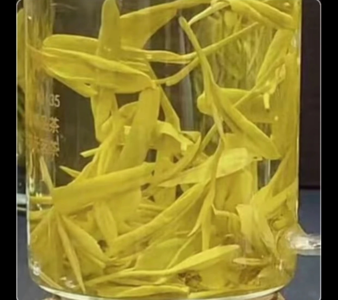 黄金芽9/0【浓香 很好喝】