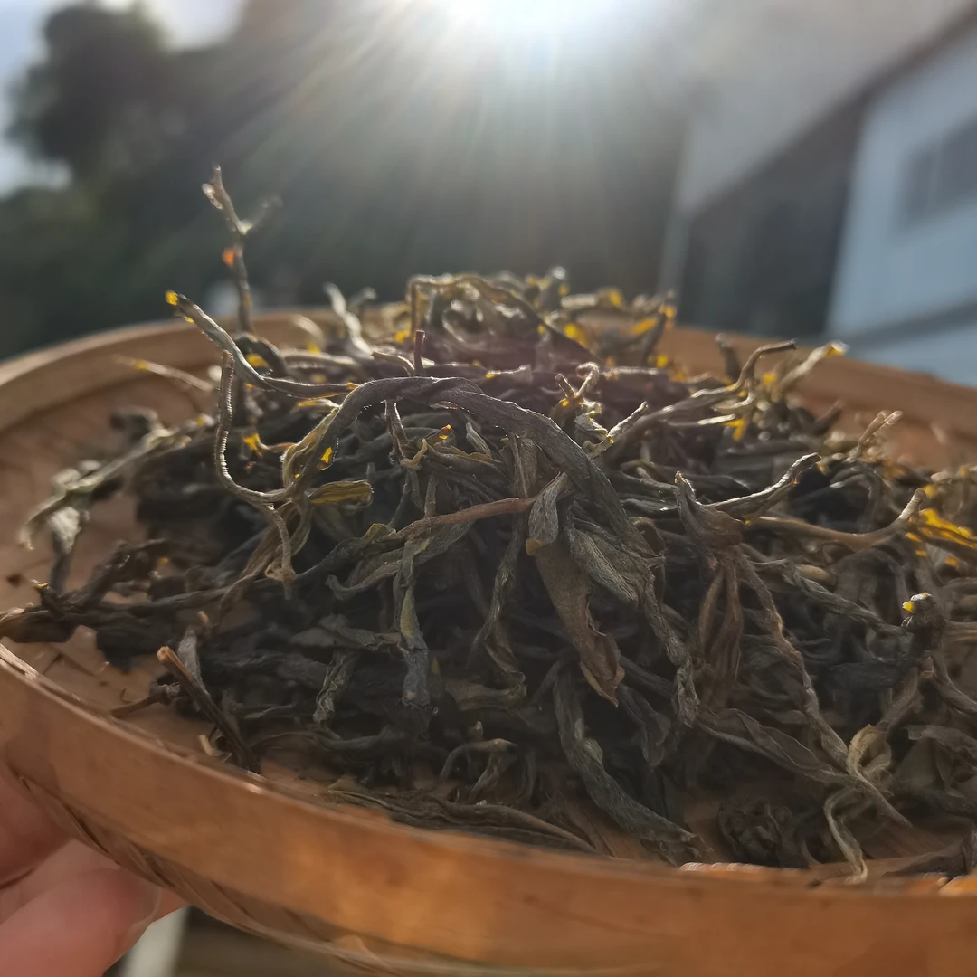 云南省临沧市勐库镇小户赛大叶种普洱茶2021春古树纯料散茶100克